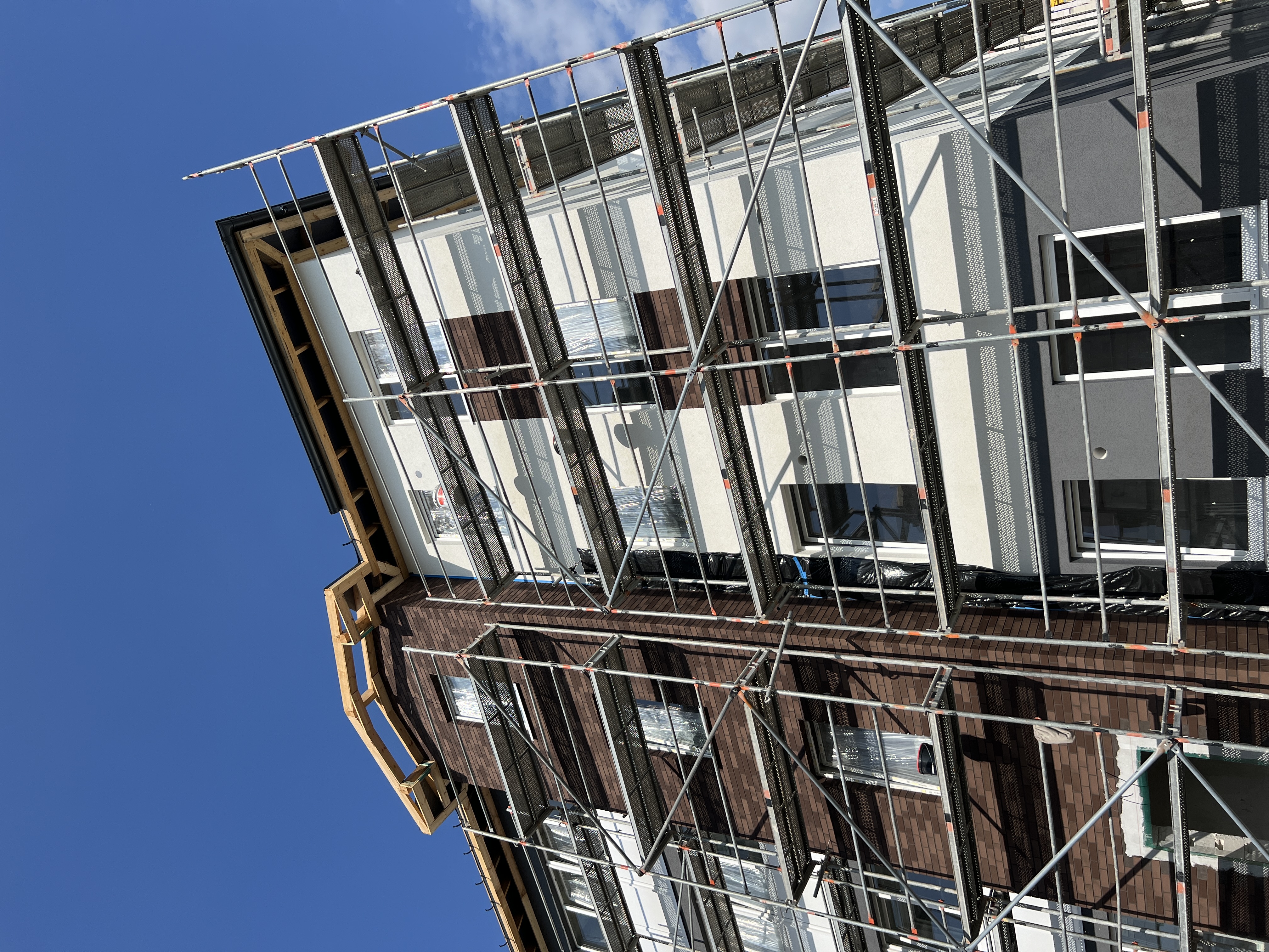 Новое Голубево 9