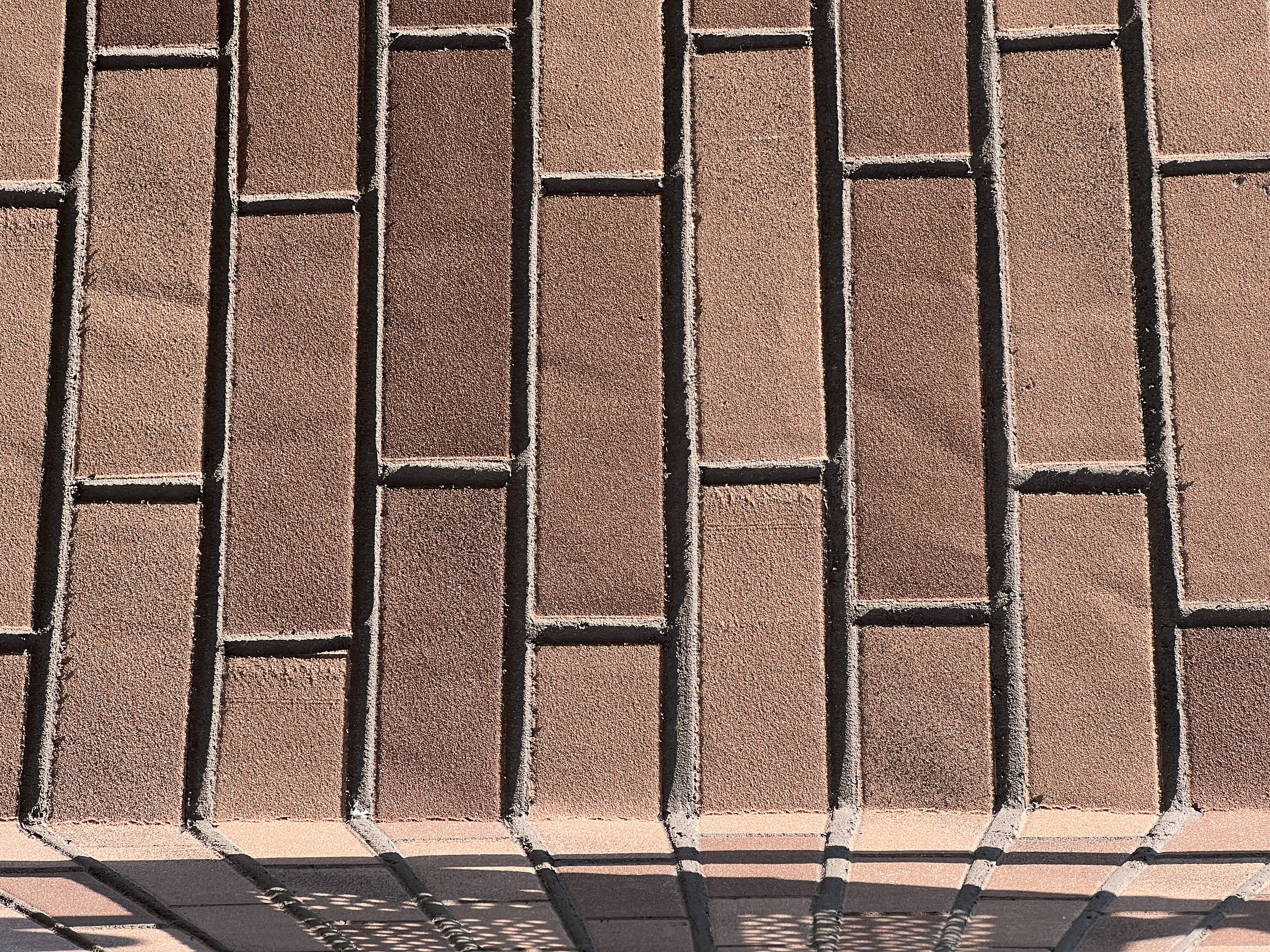 Новое Голубево 10